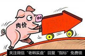 国家发改委： 近期猪肉价格趋于稳定