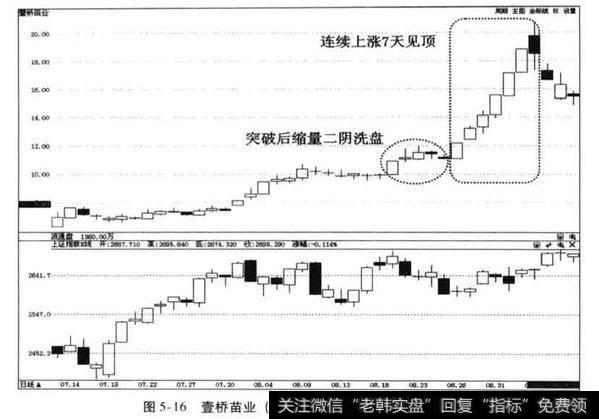 波浪理论如何得到应用？