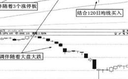 超级牛股案例分析？比亚迪案例分析？