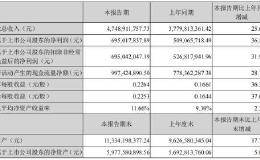 1100亿市值爱尔眼科头悬24亿商誉 短期借款半年增8亿