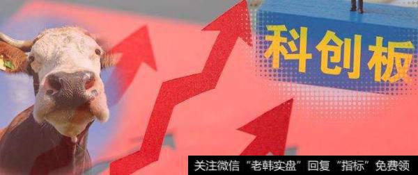 深圳传音控股股份有限公司首次公开发行股票并在科创板上市网上发行申购情况及中签率公告