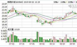 <em>伟明环保</em>：连续3日融资净买入累计439.44万元（09-19）