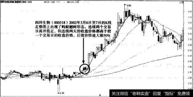 四环生物股价走势图