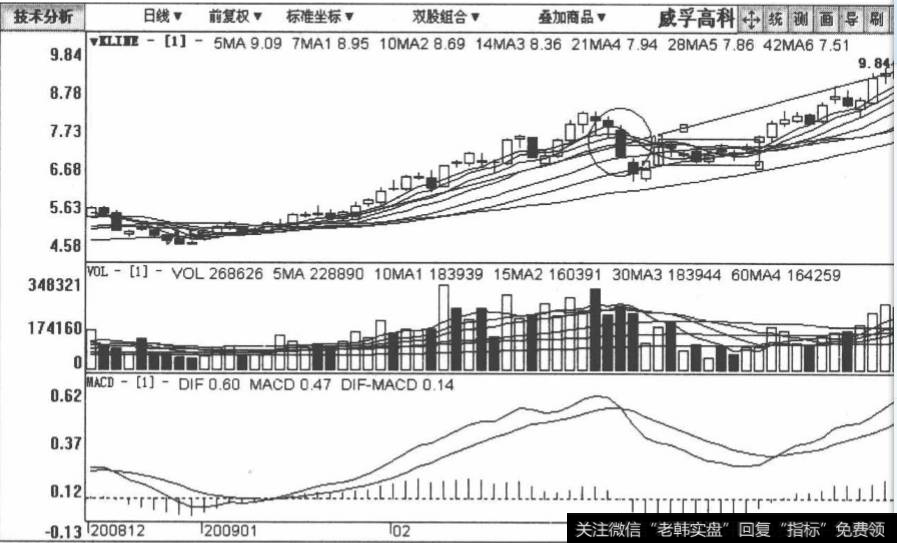 <a href='/t_31025/'>威孚高科</a>包括2008年12月20日至2009年3月21日在内的日K线图