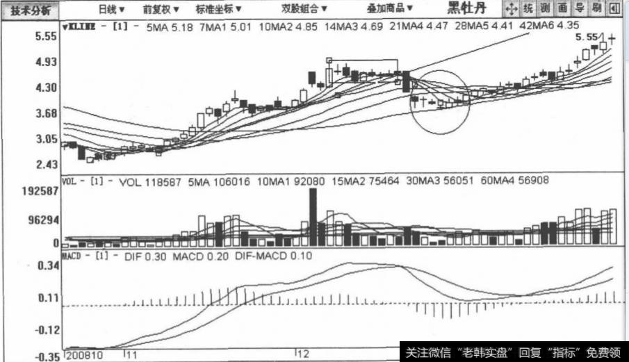 <a href='/cdtdjq/209270.html'>黑牡丹</a>包括2008年10月15日至2009年2月5日在内的日K线图