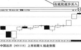 中国远洋上市初期牛股捕捉案例？中国远洋案例分析？