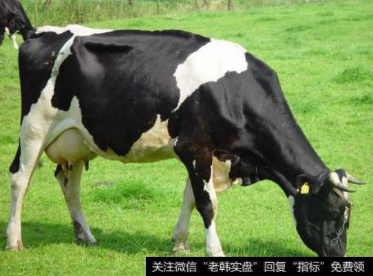 行业进入需求旺季,原奶题材<a href='/gainiangu/'>概念股</a>可关注