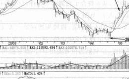 国阳新能(600348)实战技巧？国阳新能(600348)实战技巧分析？