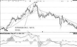 [利用MACD顶背离逃顶案例分析]盐田港