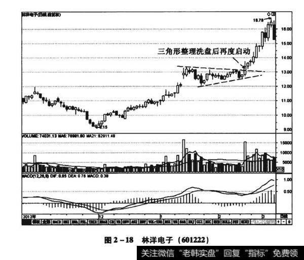 图2-18林洋电子（601222）