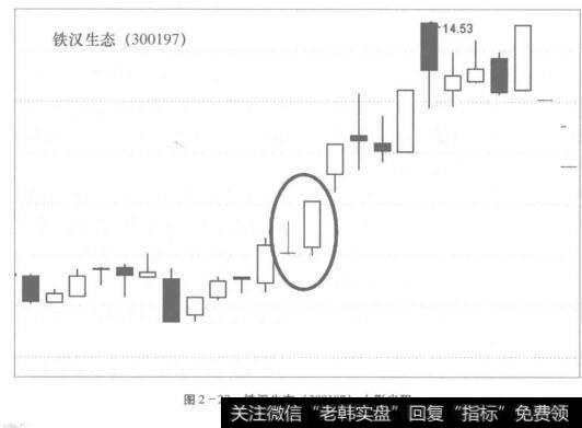 图2-28铁汉生态(300197)上影光阳