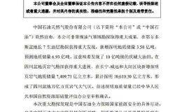 中国石油：非常规油气领域勘探取得重大成果