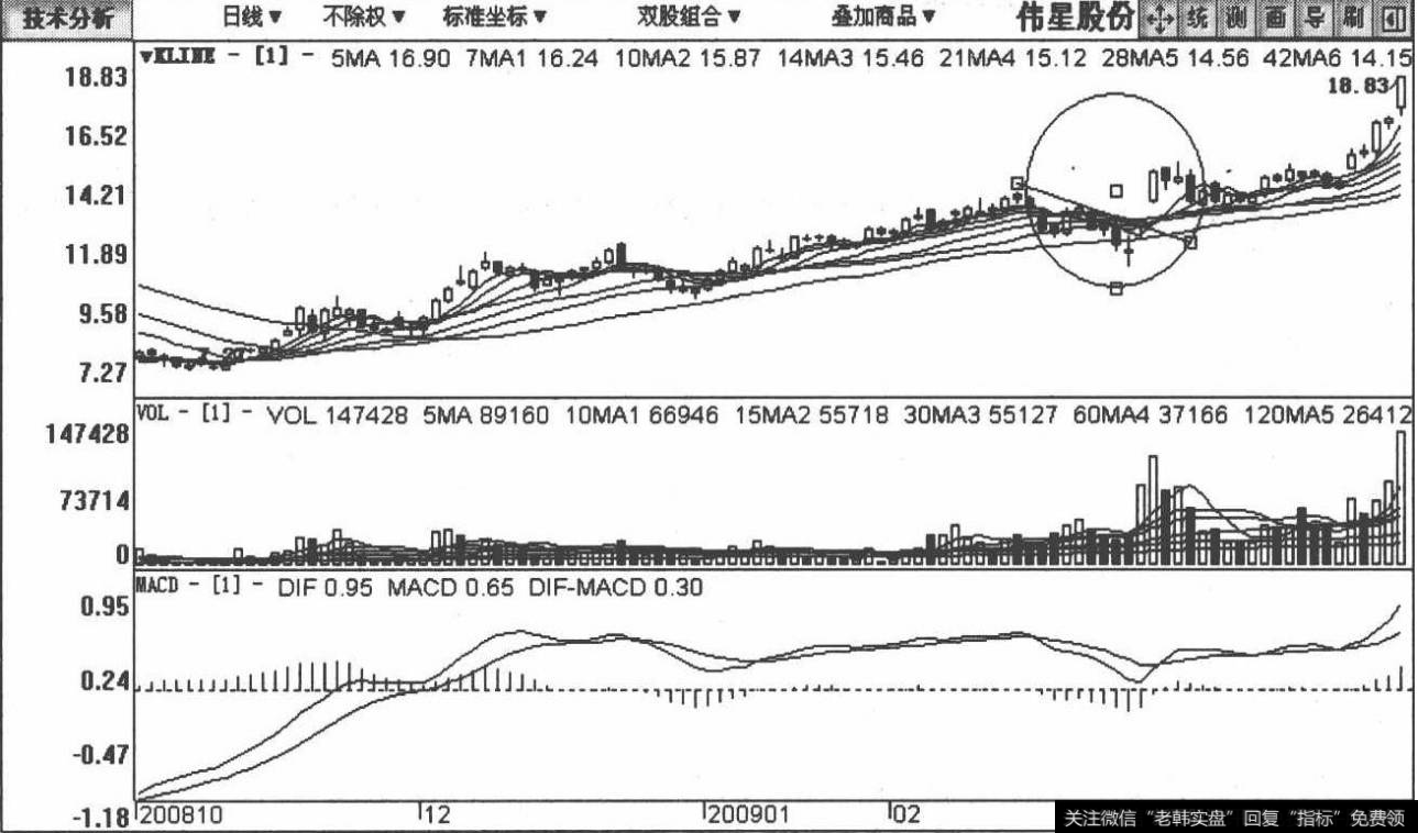 002003伟星股份