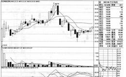 <em>方正电机</em>（002196）的股票趋势是什么样的？