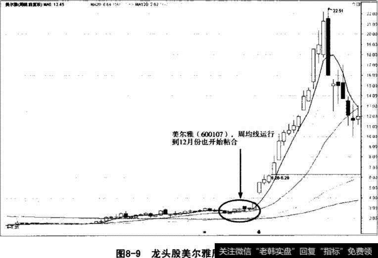 龙头股美尔雅周均线战法