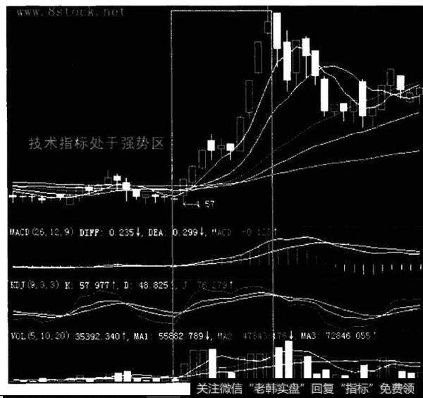 ST罗顿