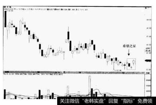 炒新四金的图形特征、机理解剖、操作要点、注意事项是什么？