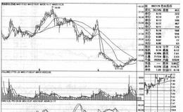 芭田股份（002170）的<em>股票趋势</em>是什么样的？