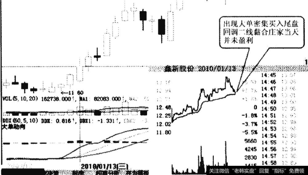 大单密集买入尾盘回调的分时走势与日K线图