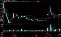 次新大黑马的图形特征、机理解剖、操作要点、注意事项是什么？