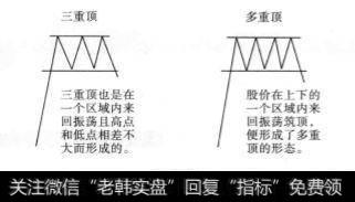 形态结构