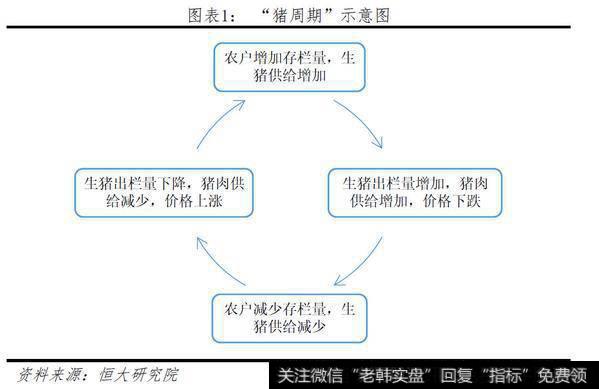 任泽平<a href='/caijunyi/290233.html'>股市</a>最新相关消息：一只特立独行的猪：超级猪周期的成因、影响及应对1