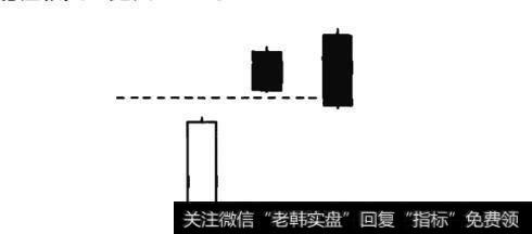 双飞乌鸦