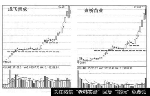 龙头股在技术走势方面的最大特点是什么?