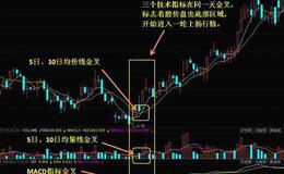 [预示龙头股顶部将要到来的征兆]管理层天天找茬、反复监控