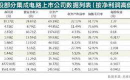 芯片板块业绩“蛟龙出海” 国产替代加速潜力可期