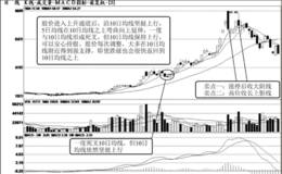 纪律线——10日均线