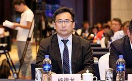 杨德龙<em>股市最新消息</em>：保持信心和耐心 持有优质资产等待市场回暖