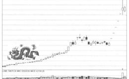 [股市的龙脉有哪些具体形态]什么是火龙形态？
