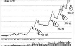 为什么根据A浪的K线语言可以提前布局龙头股第二春行情？