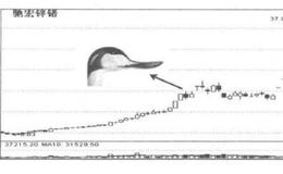 [洗盘区的洗盘套路]什么是老鸭头式洗盘？