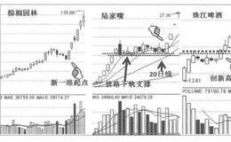 棕榈园林、陆家嘴和珠江啤酒的重要技术关口涨停图是什么样的？