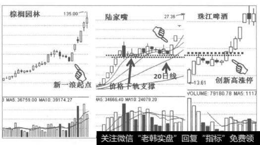 棕榈园林、<a href='/hyzx/269397.html'>陆家嘴</a>和<a href='/ggnews/283557.html'>珠江啤酒</a>的重要技术关口涨停图是什么样的？