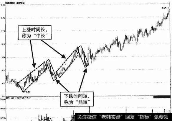 牛长熊短的具体形态