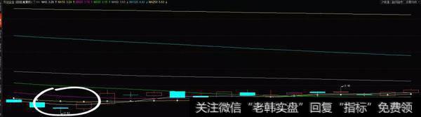 定海神针实战案例