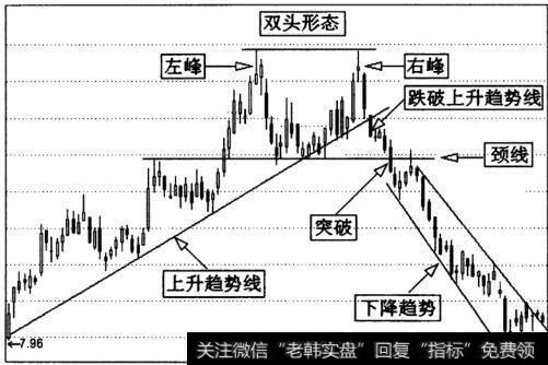 双头形态形成的全过程图