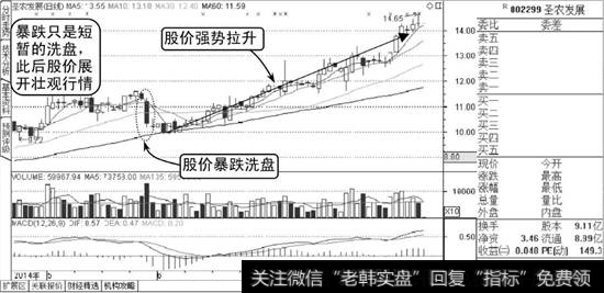 圣农发展K线图2