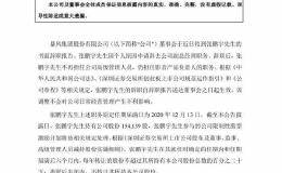 高管集体离职、前三季度亏损6.5亿 “风暴眼”中的暴风会退市吗？