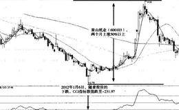 龙头股的技术指标特征