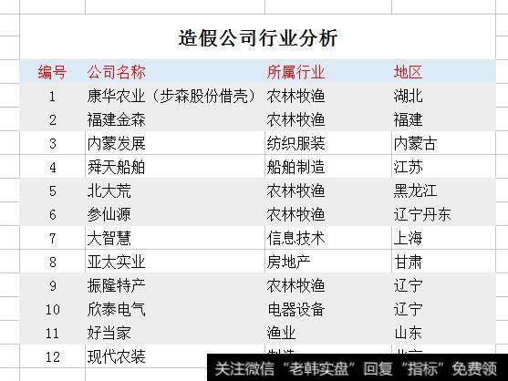 造假公司行业分析