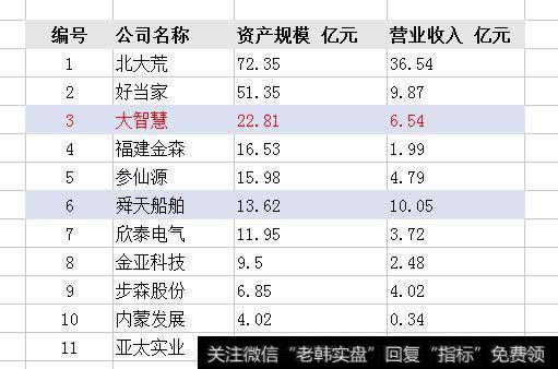 资产和收入规模
