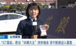 曾经产量世界第一 如今破产重整！莲花味精怎么不“香”了？