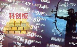 龙岩卓越新能源股份有限公司首次公开发行股票并在科创板上市网上路演公告