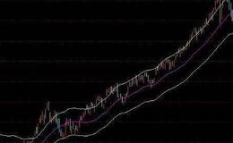 [1999-2001年黑金时代中国第一批操盘手]汤凡的投资风格是什么？