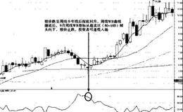 WR指标实战技术分析——实战普通法则