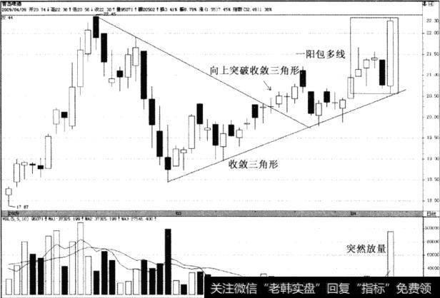 青岛啤酒(600600)